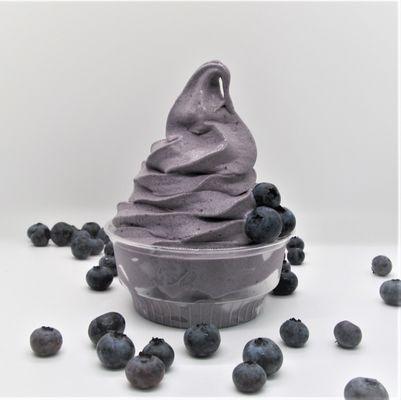 Blueberry Soft Serve Ice Cream made with fresh blueberries!