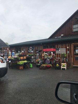 50% off plants