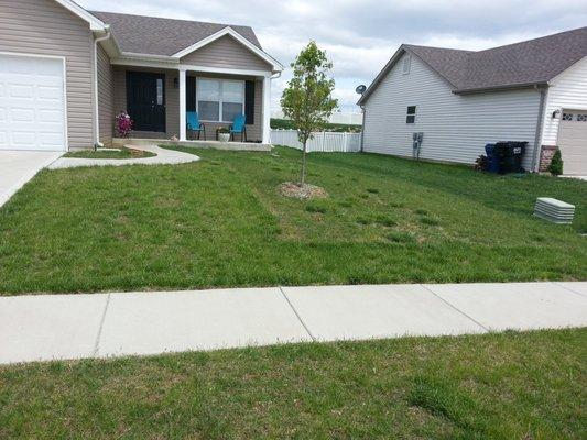 Before Best Lawn ......