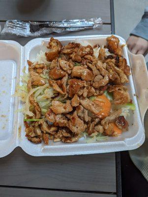 Teriyaki Japan