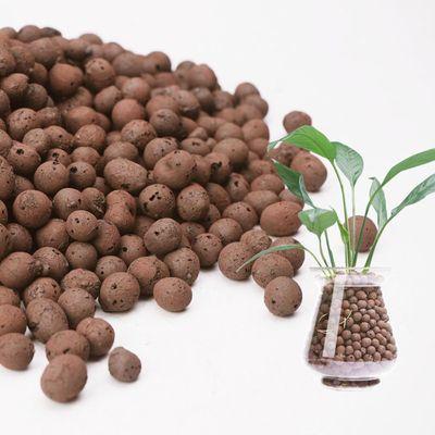 Clay pebbles for your favorite plants.