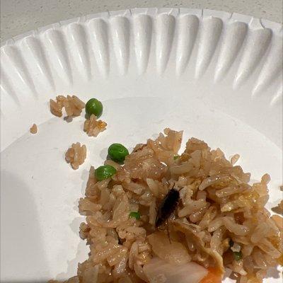 That is a cooked baby roach in our chicken fried rice