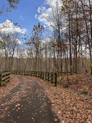 Bridge during fall season