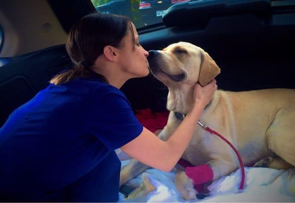 We are so happy to have our baby home! Thank you Dr. Brennan & staff for saving Baxter's life when he was sick with Parvo!