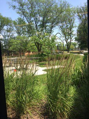 View from a table inside the Student Center. Peaceful hub to campus.