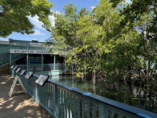 Key West Aquarium