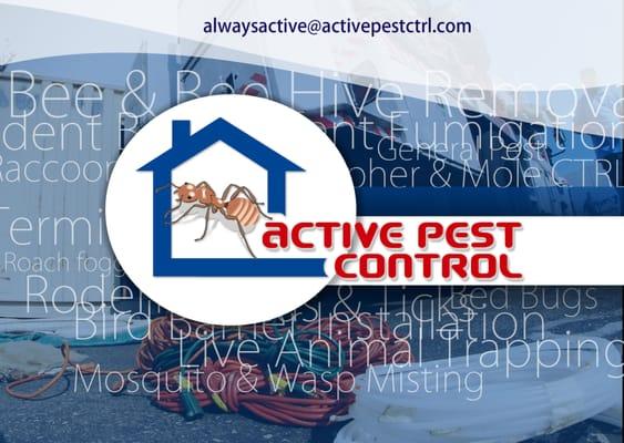 Residential and Commerial Professional Pest Control Services. From Biting Bed Bugs to invading live animals. 562-860-7777