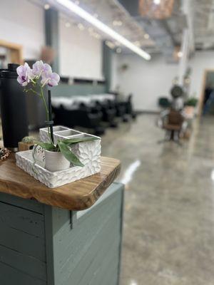 Steel Magnolias Salon