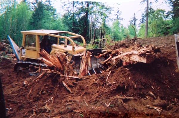 Bulldozer Stump clearing and crushing