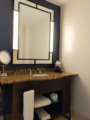 Vanity/wash area