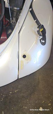 Bunny - rt rear fender and lower apron area repairs in progress