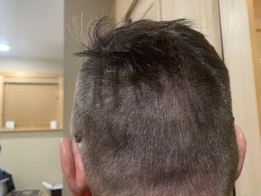 My husband 's haircut from yesterday!