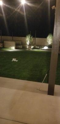 Lighting adds a wonderful aesthetic value to our yard.