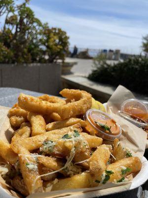 Calamari and Garlic Fries