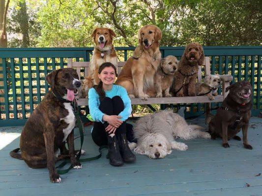 The pack is ready for a walk!