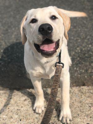 Sgt. Sullivan on his walk with Cathy!!!