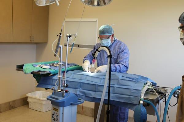 Our surgery protocols for sterility, anesthesia, and surgical monitoring is equivalent to the standards in human healthcare.