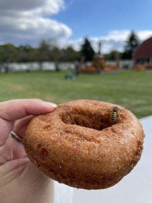 Hot fresh donuts worth the 2 hour drive. Even the  loves it!