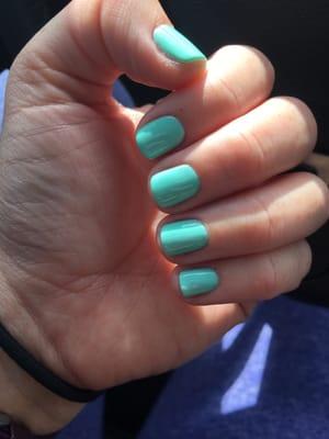 Gel manicure. New color for me but the lady did great with my mani and pedi!