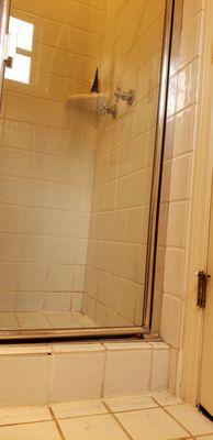 Shower door cleaning