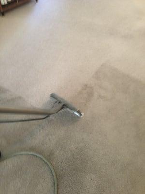 We clean all types of carpet.