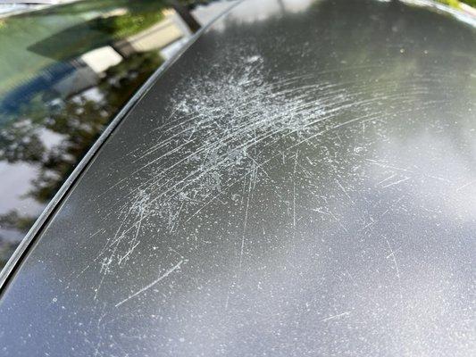 Rooftop of my vehicle upon exiting soft wash