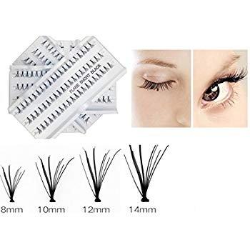 Faux mink bunch EyeLashes $30