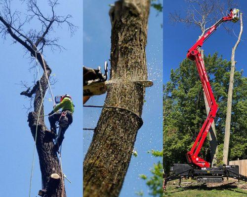 When you hire LOPEZ LANDSCAPING, you will have in your hands a team of professional arborists. We have the best team and the right machinery