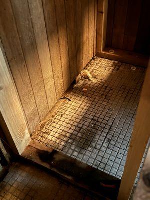 Men's sauna