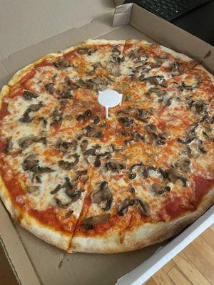 Mushroom Pizza