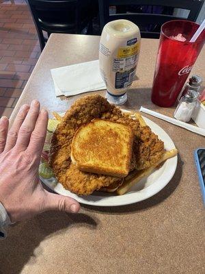 Got the pork tenderloin sandwich. With fries