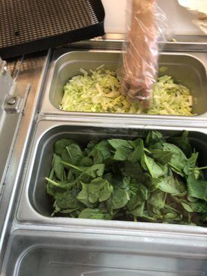 THE SPINACH IS WET OLD AND GETTING DAMPY. The lettuce was even more browned and Yellowed.