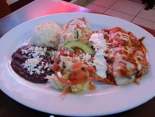 Chicken Enchiladas Plate