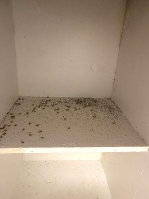 Roach droppings in kitchen cabinets after making multiple attempts to have pest control fix problem