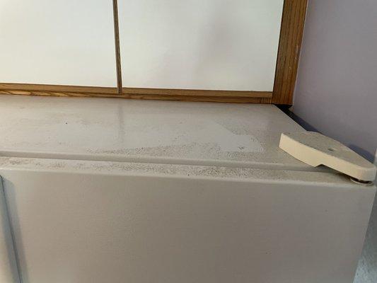 Fridge top never cleaned