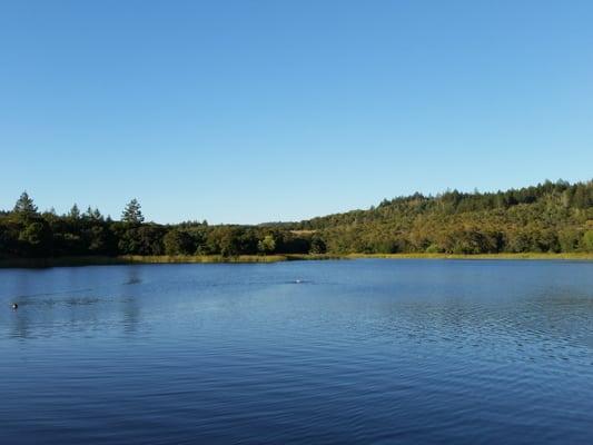 Lake llsanjo, Annadel State Park, Santa Rosa - October 2015