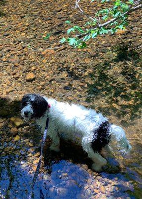 Nice back trail walk today.