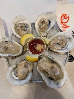 Oysters