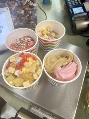 Frozen Yogurt