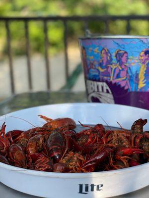 Mud Bugs! 1lb