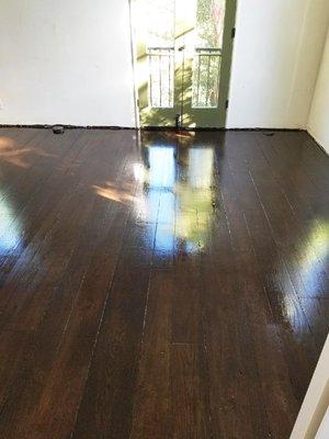 Oak Floors that have been refinished with green and espresso stain