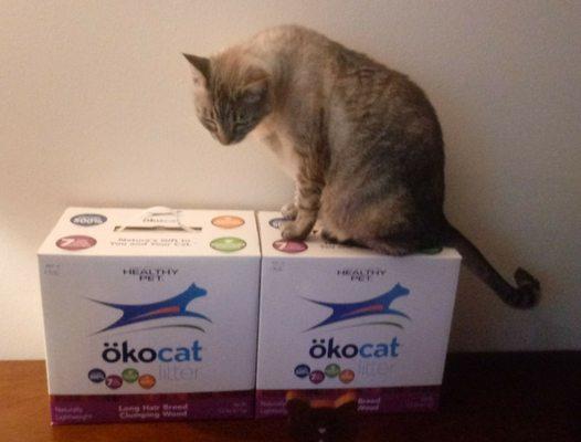 ökocat litter is the best natural clumping litter. Larger pellets track less, good for any cats. Best price anywhere is here.