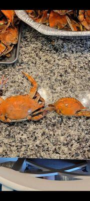 Bigger crabs on top.  Smaller ones at the bottom