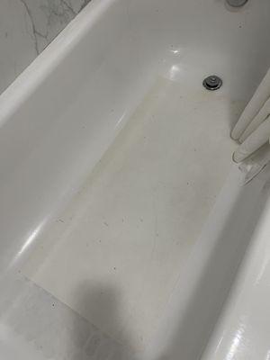 Filthy looking tub