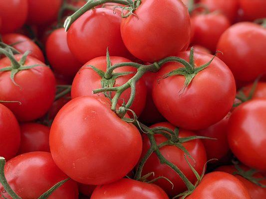 Alameda Farmers' Market