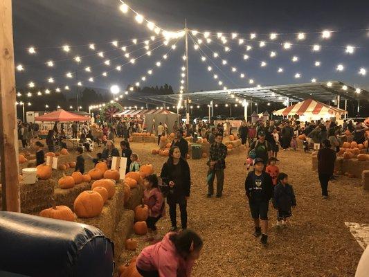 Clean and organized.  Pumpkins were a bit pricey, but it was a fundraiser for the high school after all.