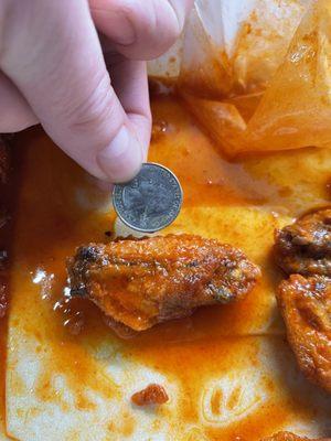 Tiny chicken wing.