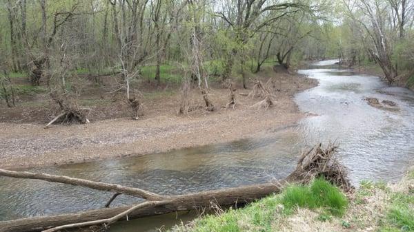 A dead tree sprawled on the river at Moss-Wright Park. Scary, yet beautiful.