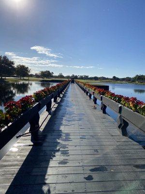 Cool bridge