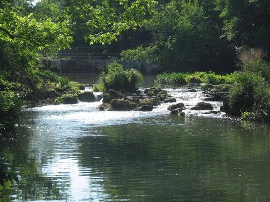 Thie is a picture of the creek upstream from the house, but still on the property.  There is a lot of creek exposure!